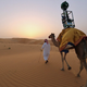 Illustration for article titled Google Has A Street View Camel